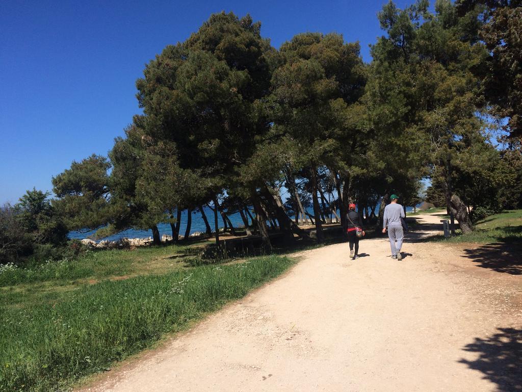 Apartment Valery Ζαντάρ Εξωτερικό φωτογραφία